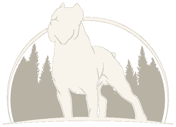 Northwoods Corsos